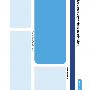 Modèle de fiche de révision